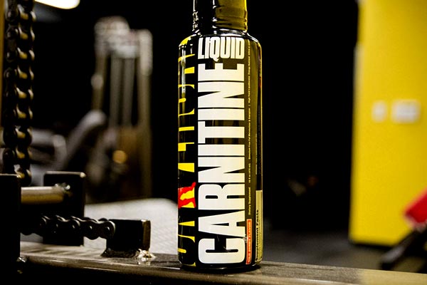 universal liquid carnitine