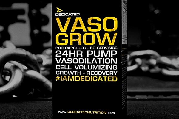 vaso grow v3