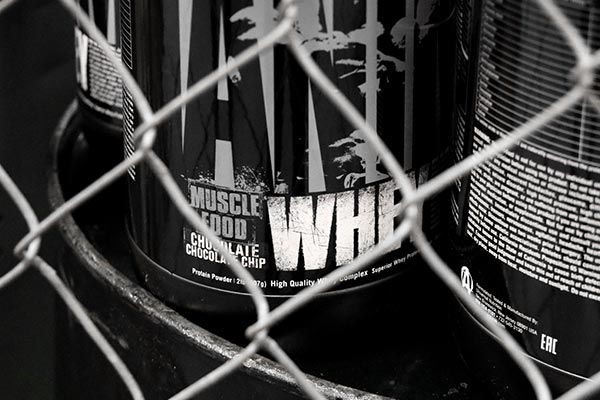 animal whey