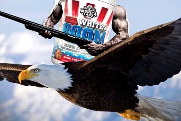 merica labz