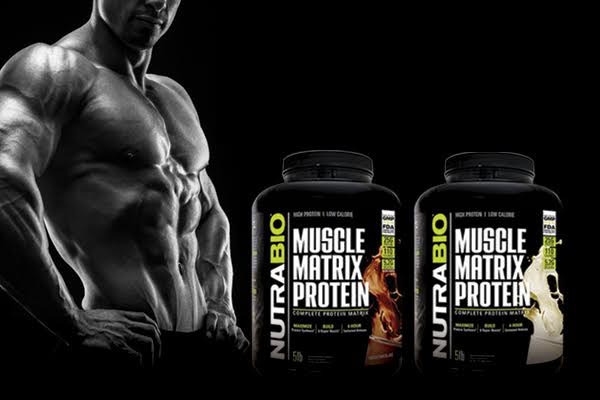 muscle matrix