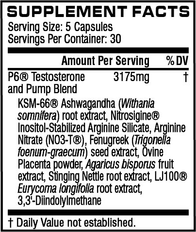 P6 Extreme Pump