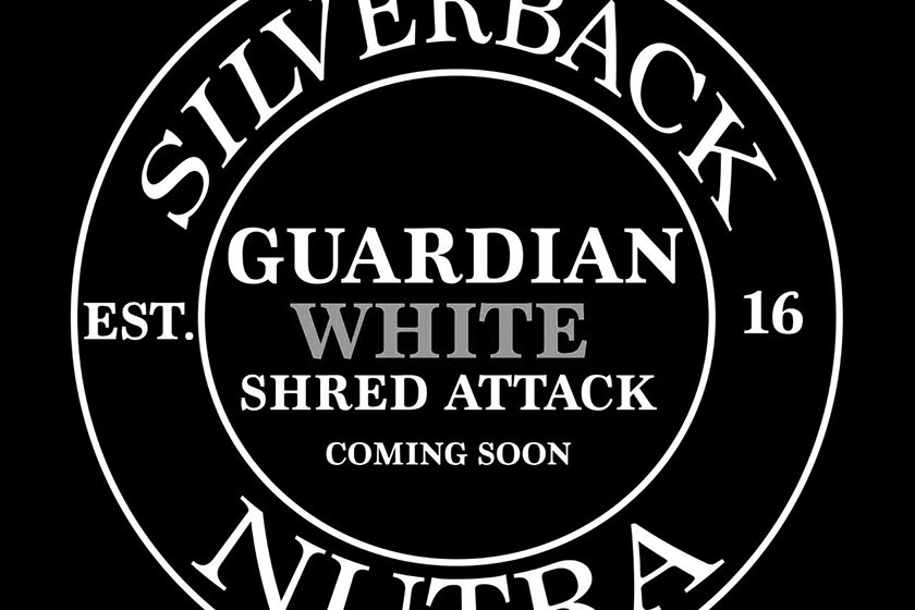 Guardian White Shred Attack