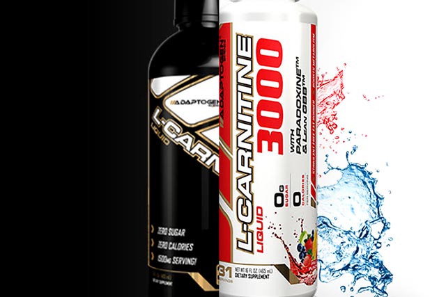 Adaptogen Carnitine 3000