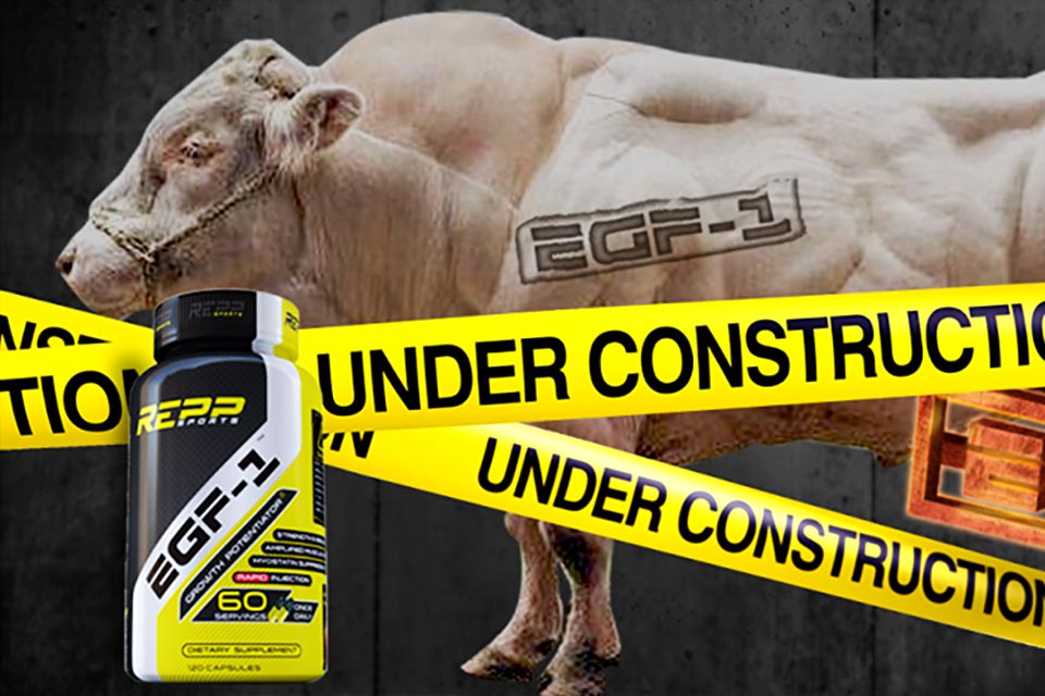 EGF-1