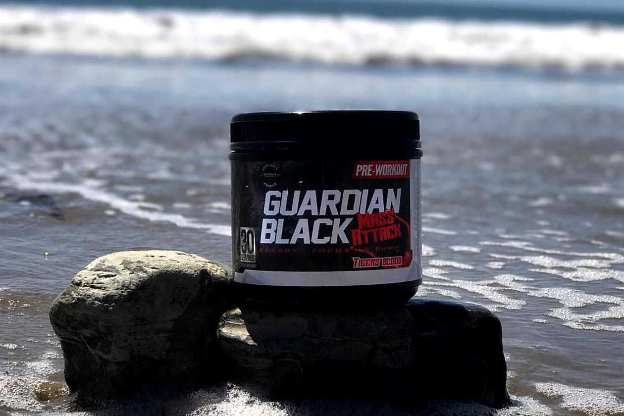 Guardian Platinum Pre-Workout