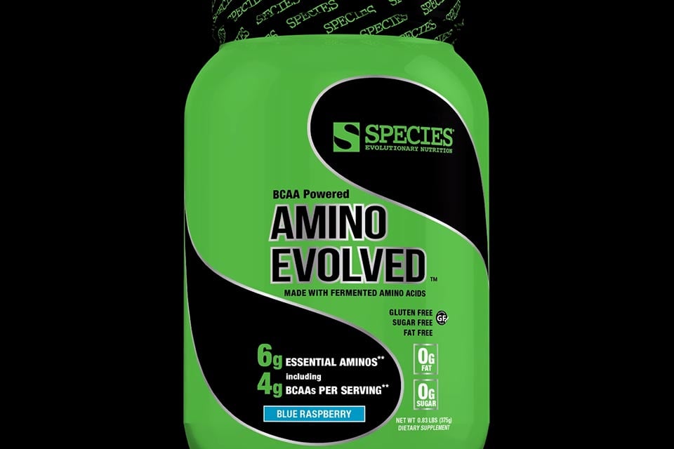 Amino Evolved