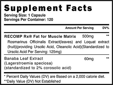 Recomp Rx