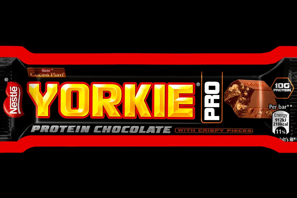 Yorkie Pro protein bar