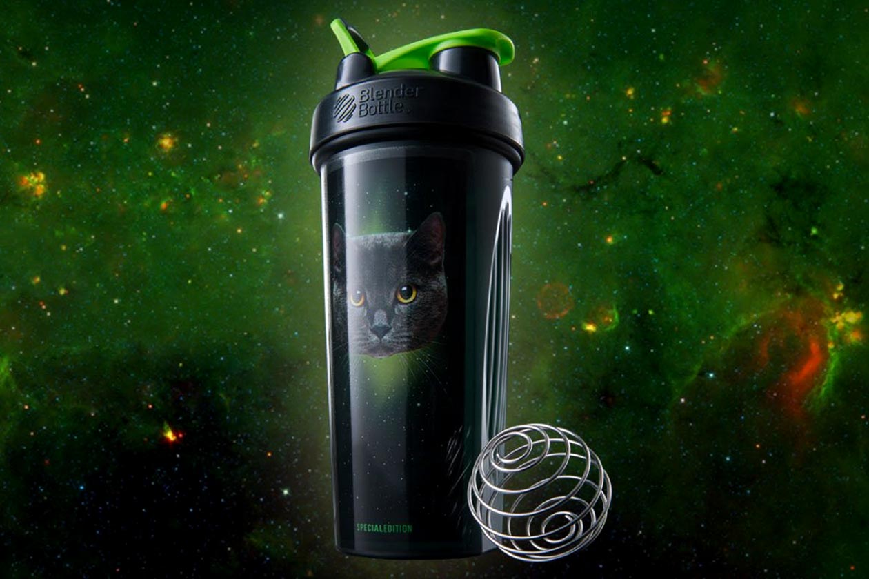 Galaxy Cat Shaker