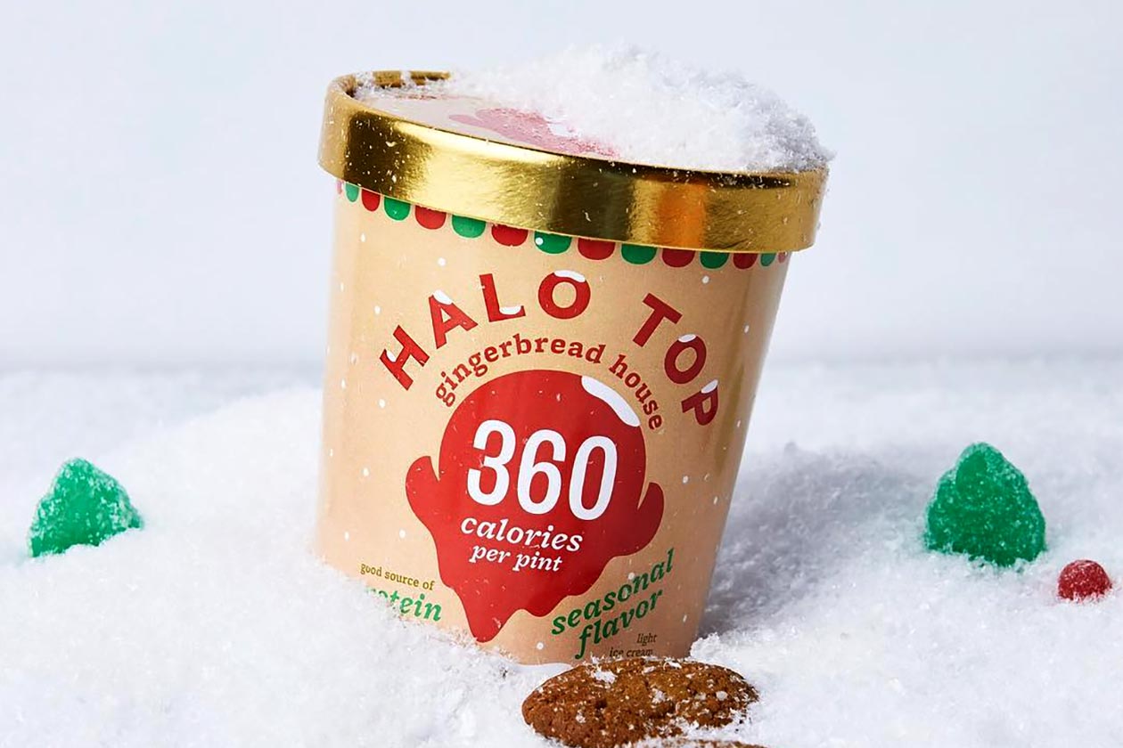 Gingerbread House Halo Top
