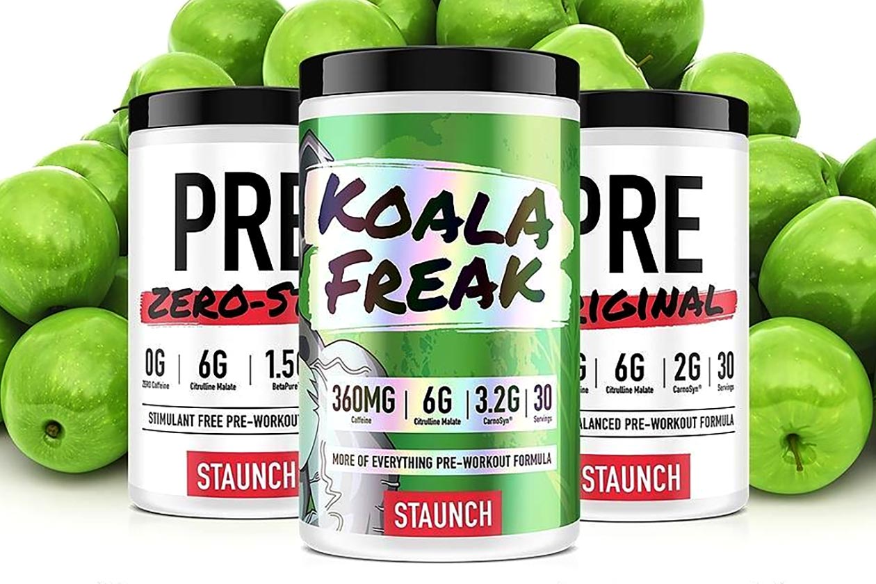 6 Day Koala Pre Workout for Beginner