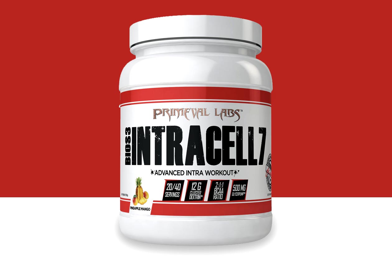 Intracell 7