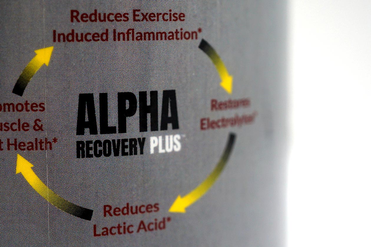 Alpha Recovery Plus Review