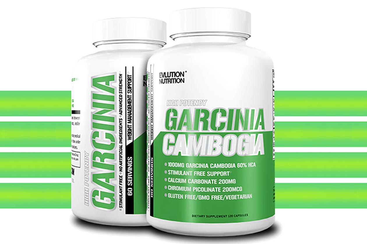 EVL Garcinia Cambogia