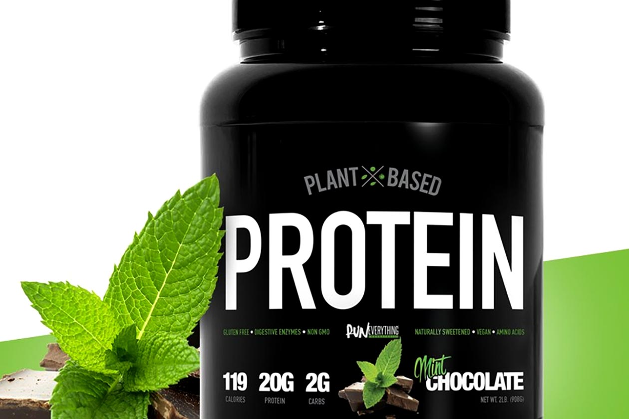 Mint Chocolate Plant Based Protein