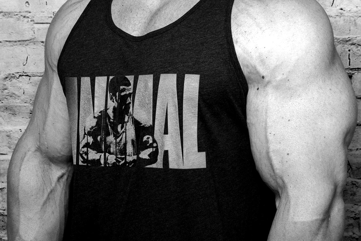 animal apparel
