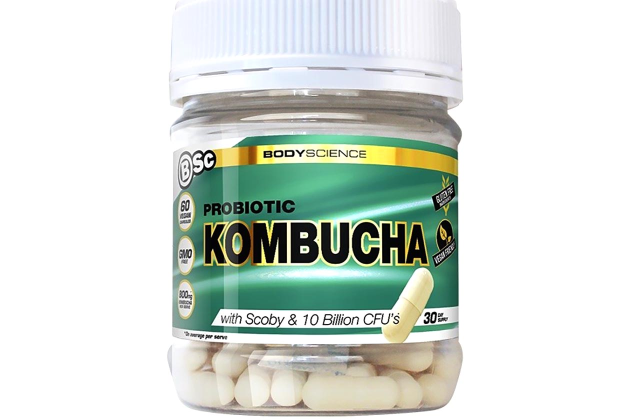 body science kombucha tea