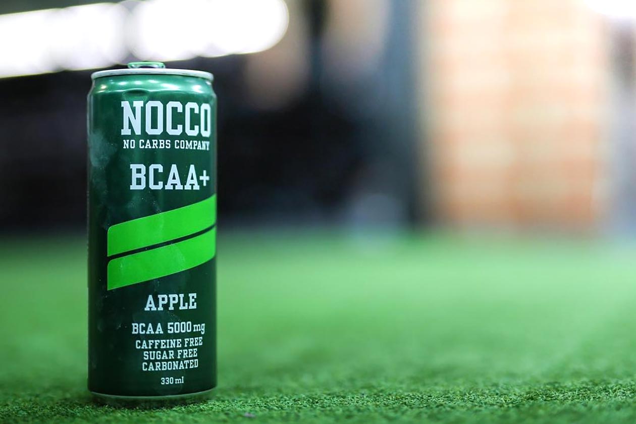 no carbs company nocco