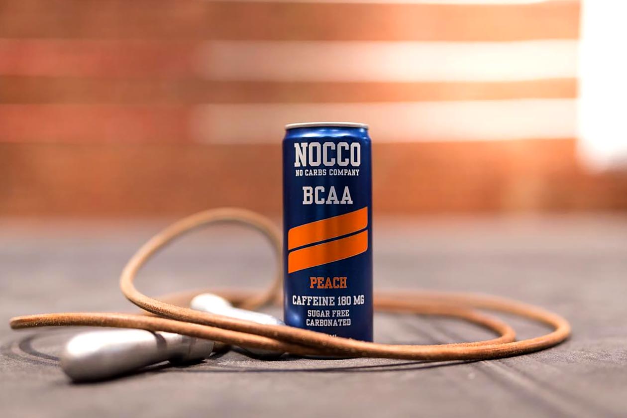 no carbs company nocco