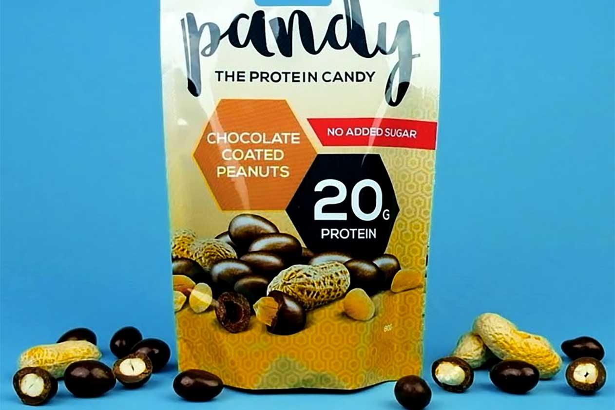 pandy chocolate protein peanuts
