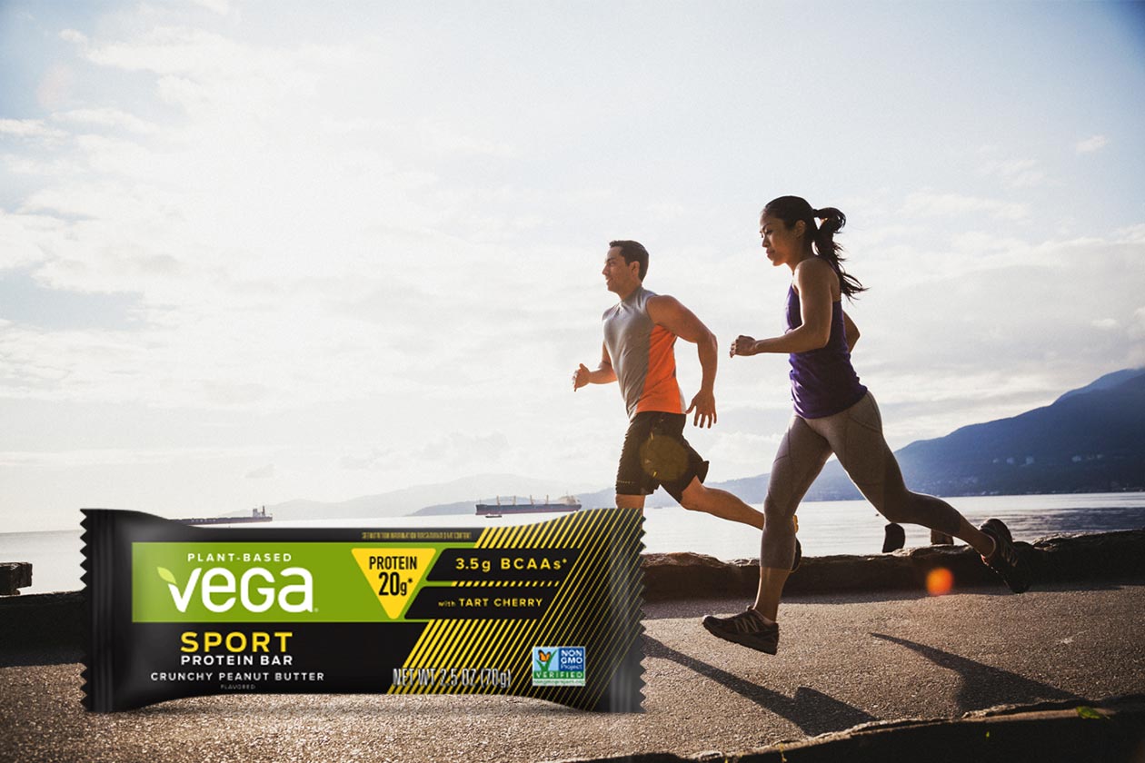 vega sport protein bar