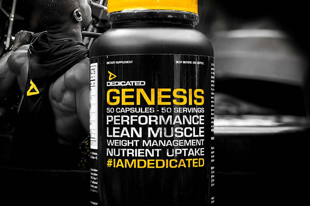 dedicated genesis