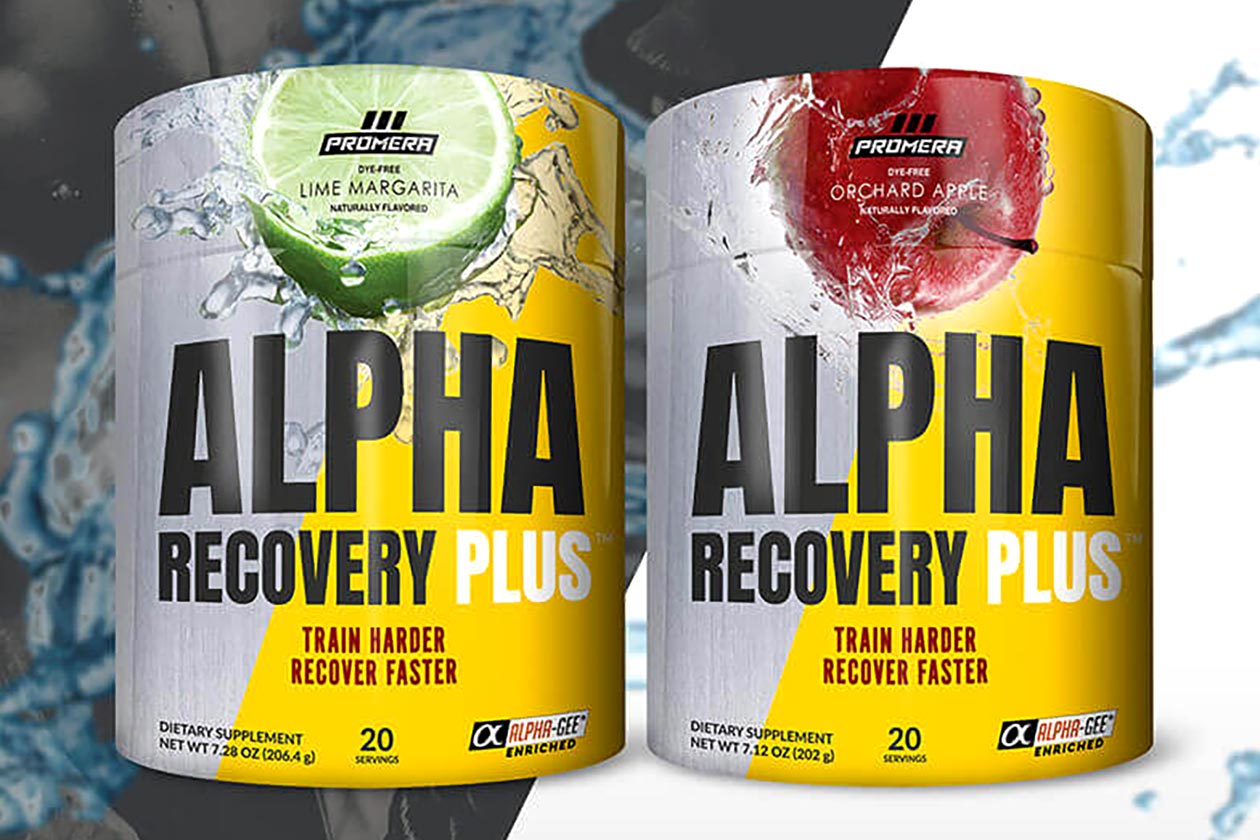 alpha recovery plus