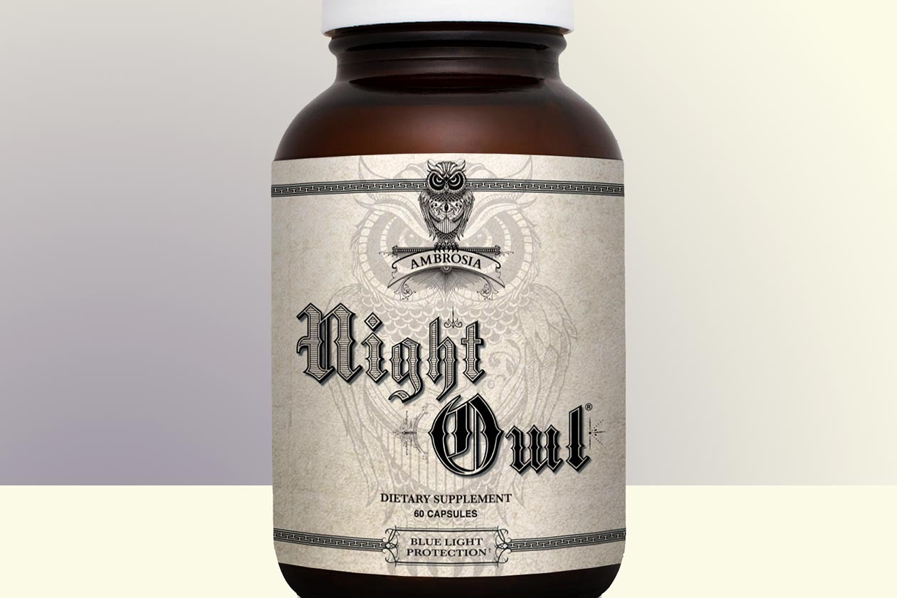 ambrosia night owl