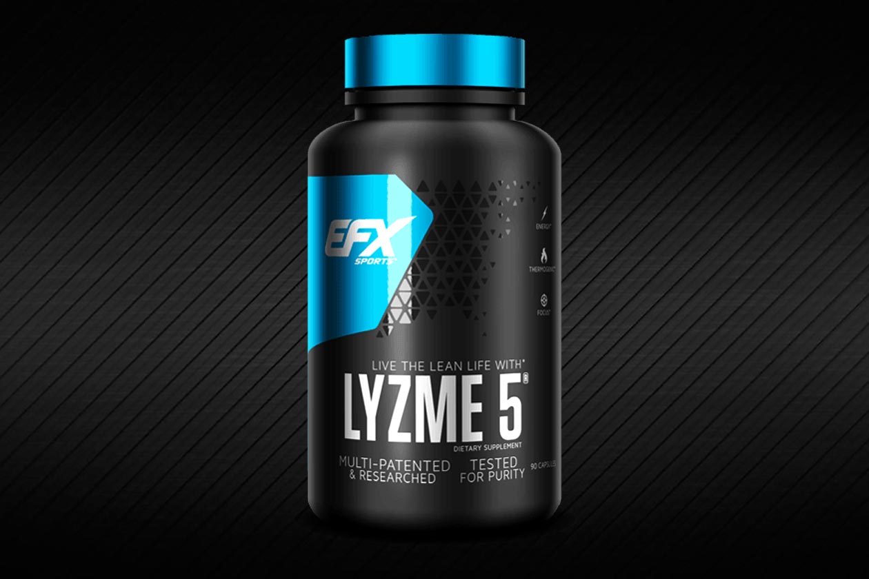 lyzme 5