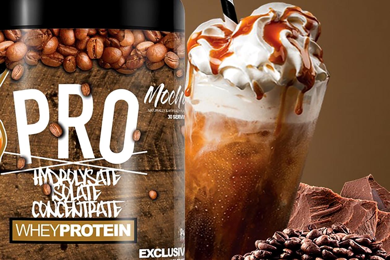 mocha pro mega plate mocha pro mega plate
