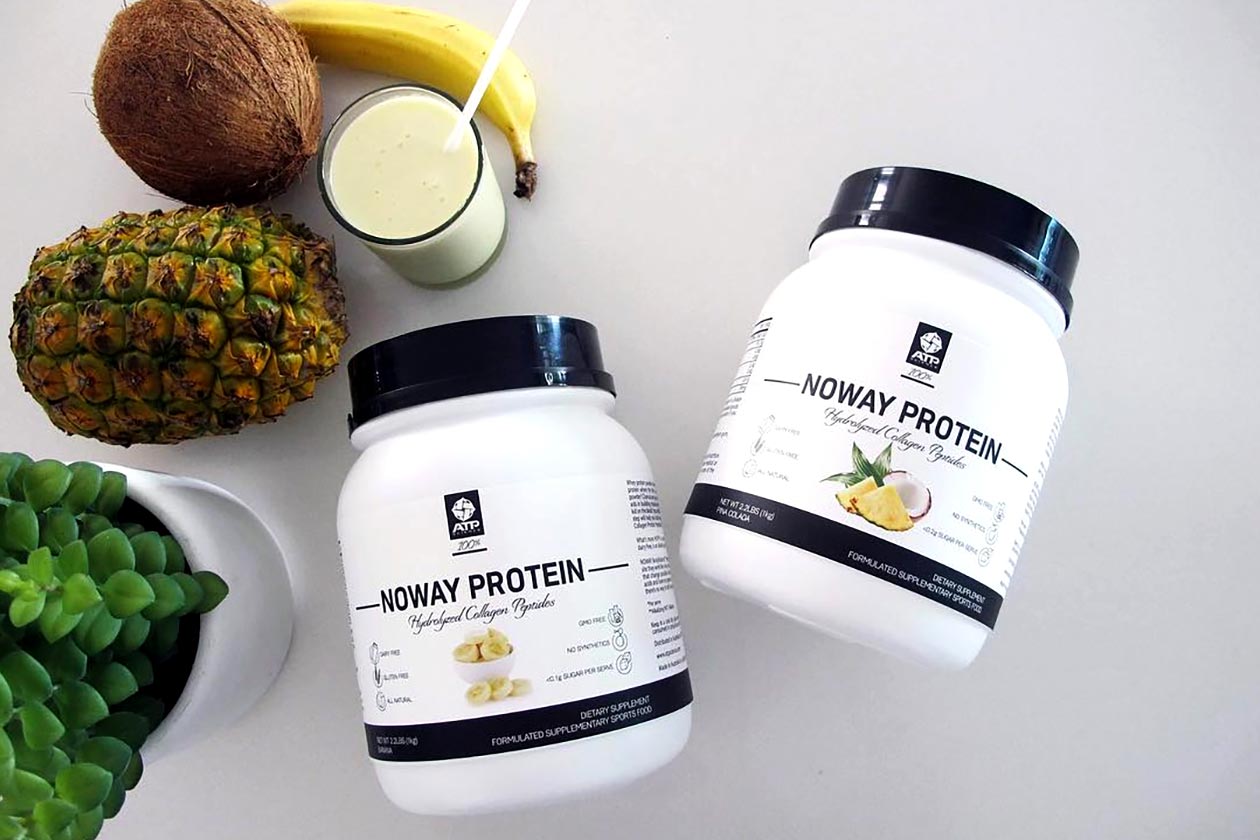 noway protein