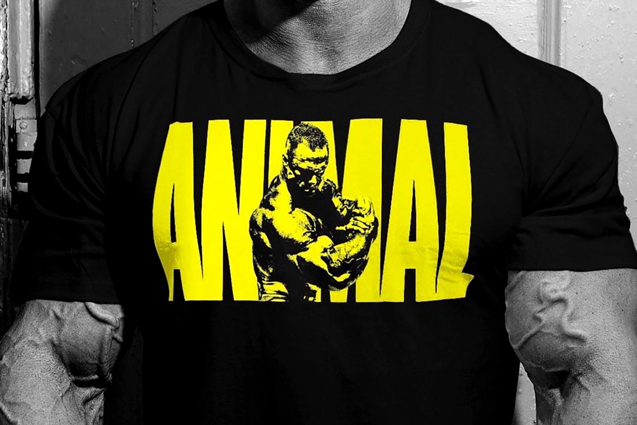 animal clothing