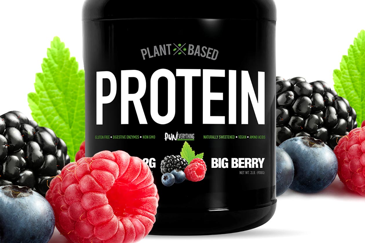big berry vegan pro
