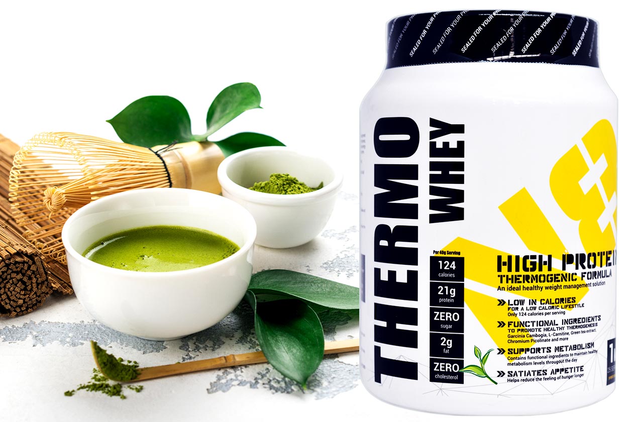 Top Malaysian brand launching a green tea flavored protein powder - Stack3d