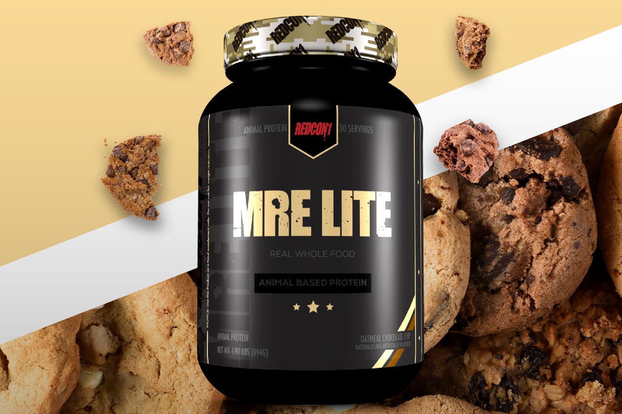 Oatmeal Chocolate Chip MRE Lite