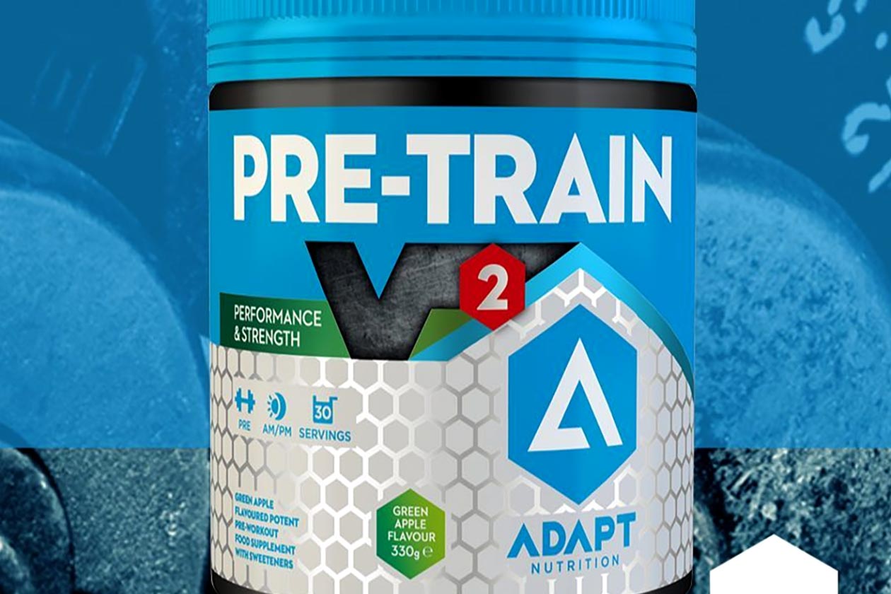 adapt pre train v2