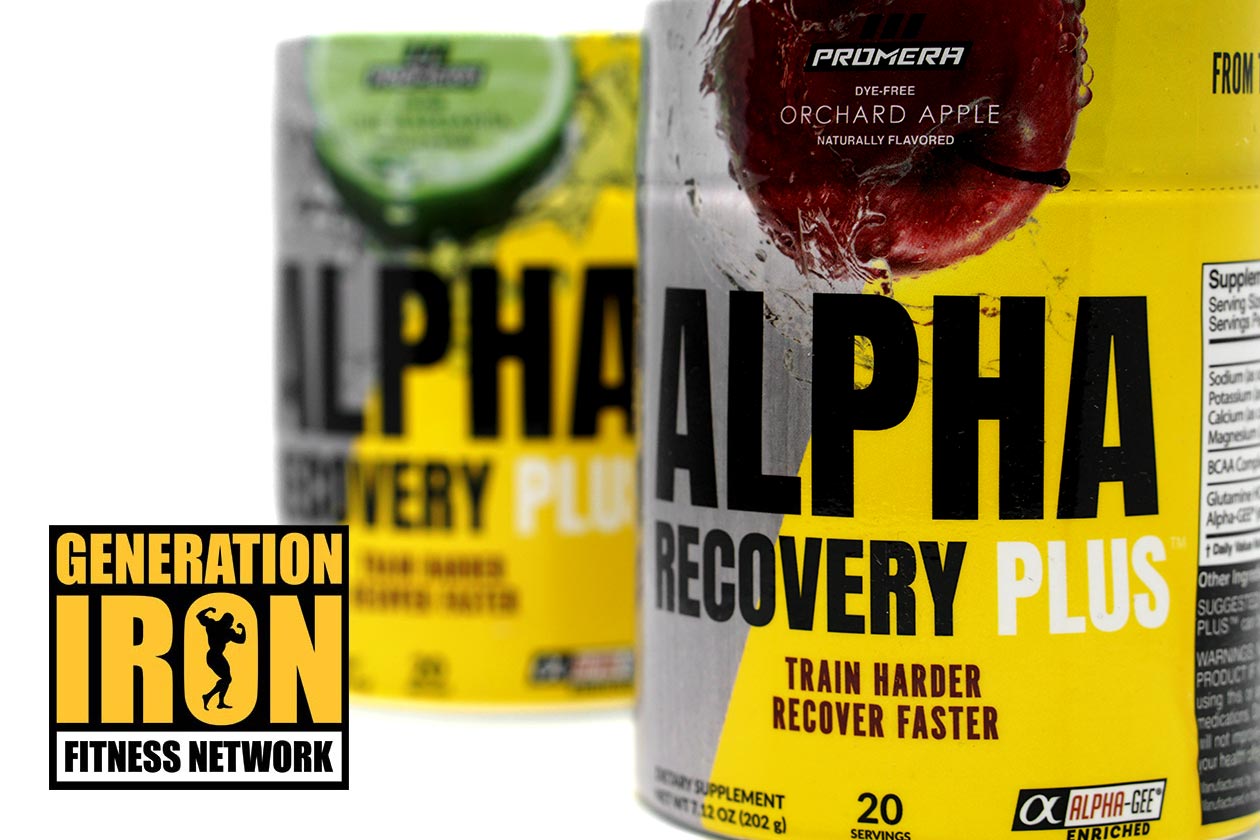 alpha recovery plus review