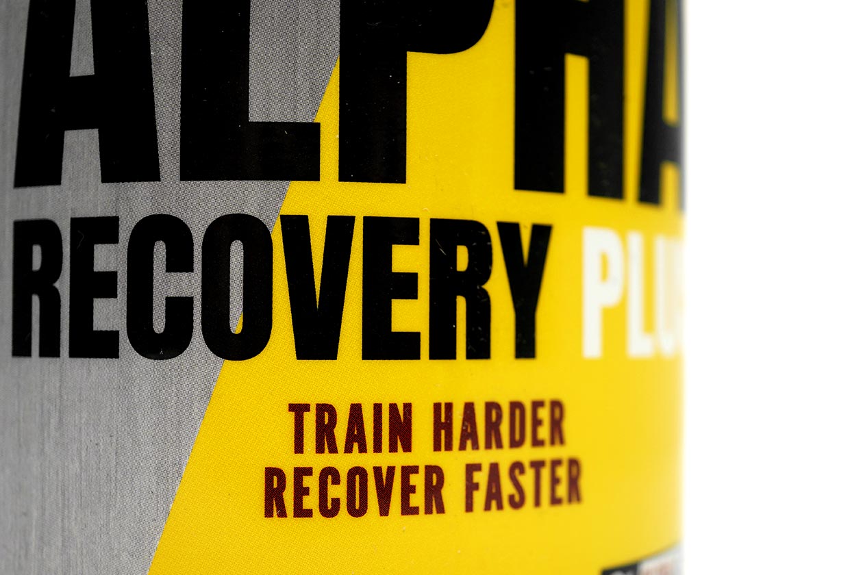 alpha recovery plus review