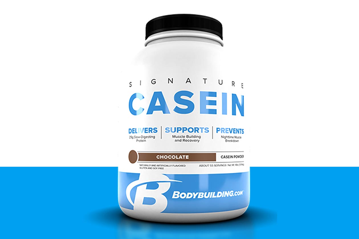 bodybuilding casein protein