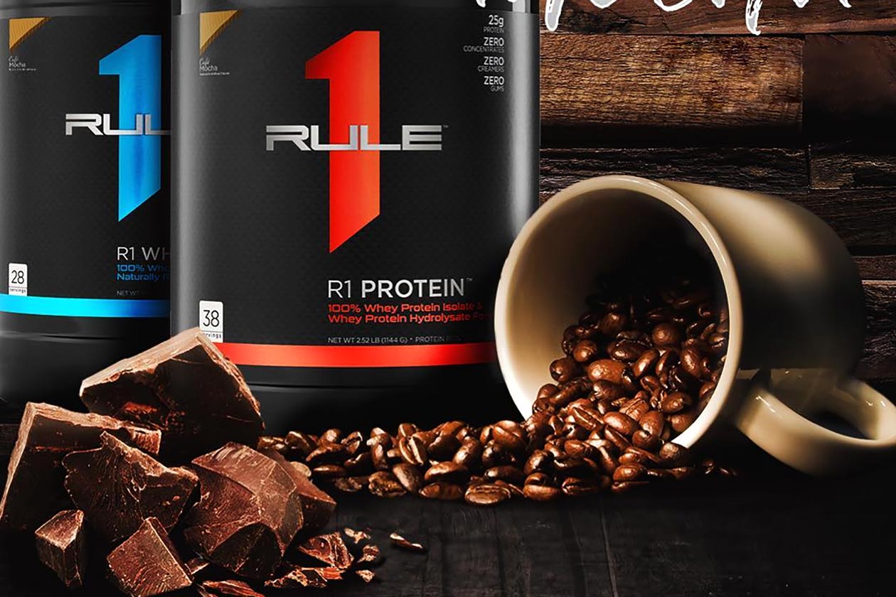 Cafe Mocha now available for both R1 Protein and Whey Blend - Stack3d