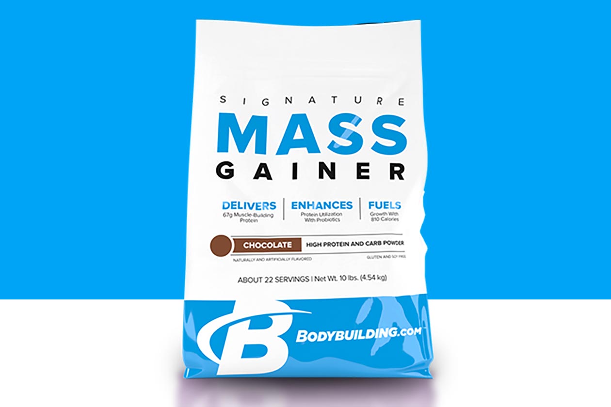 bodybuilding signature mass gainer