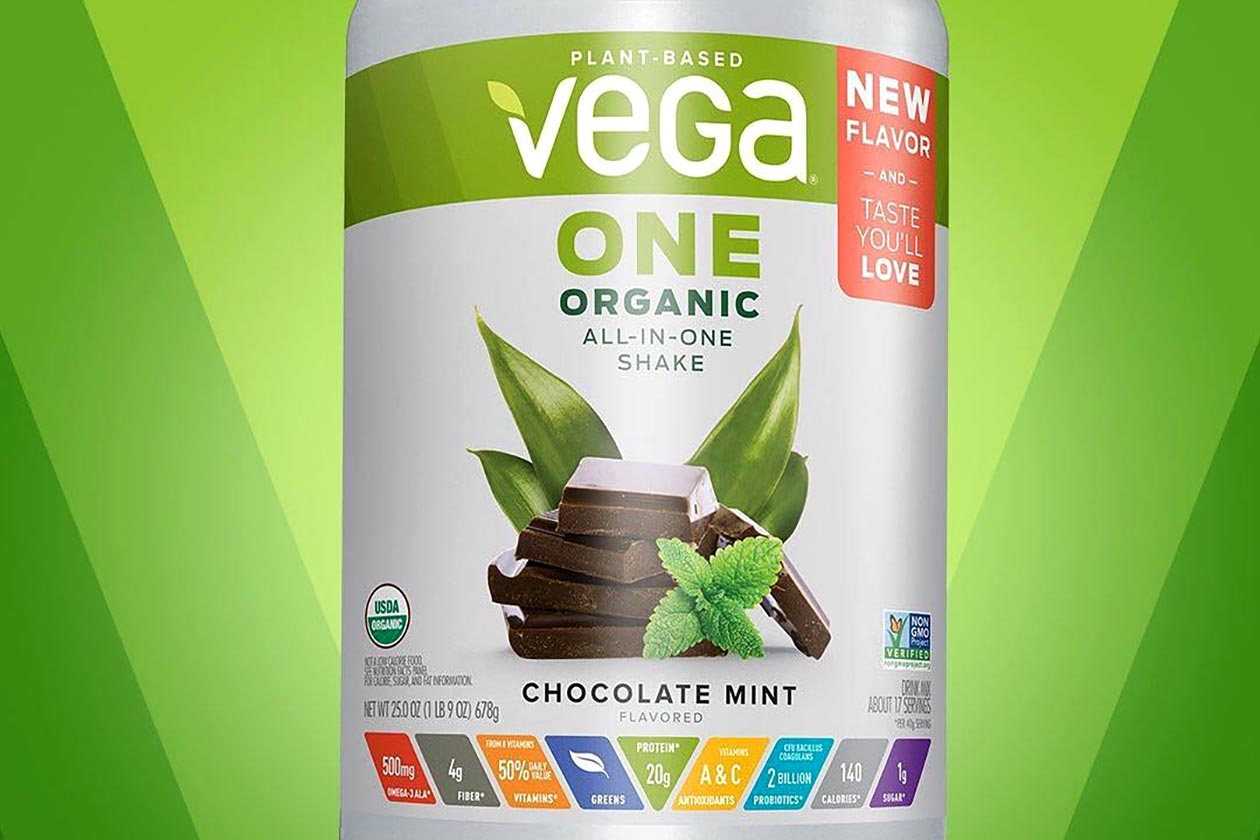 chocolate mint vega one