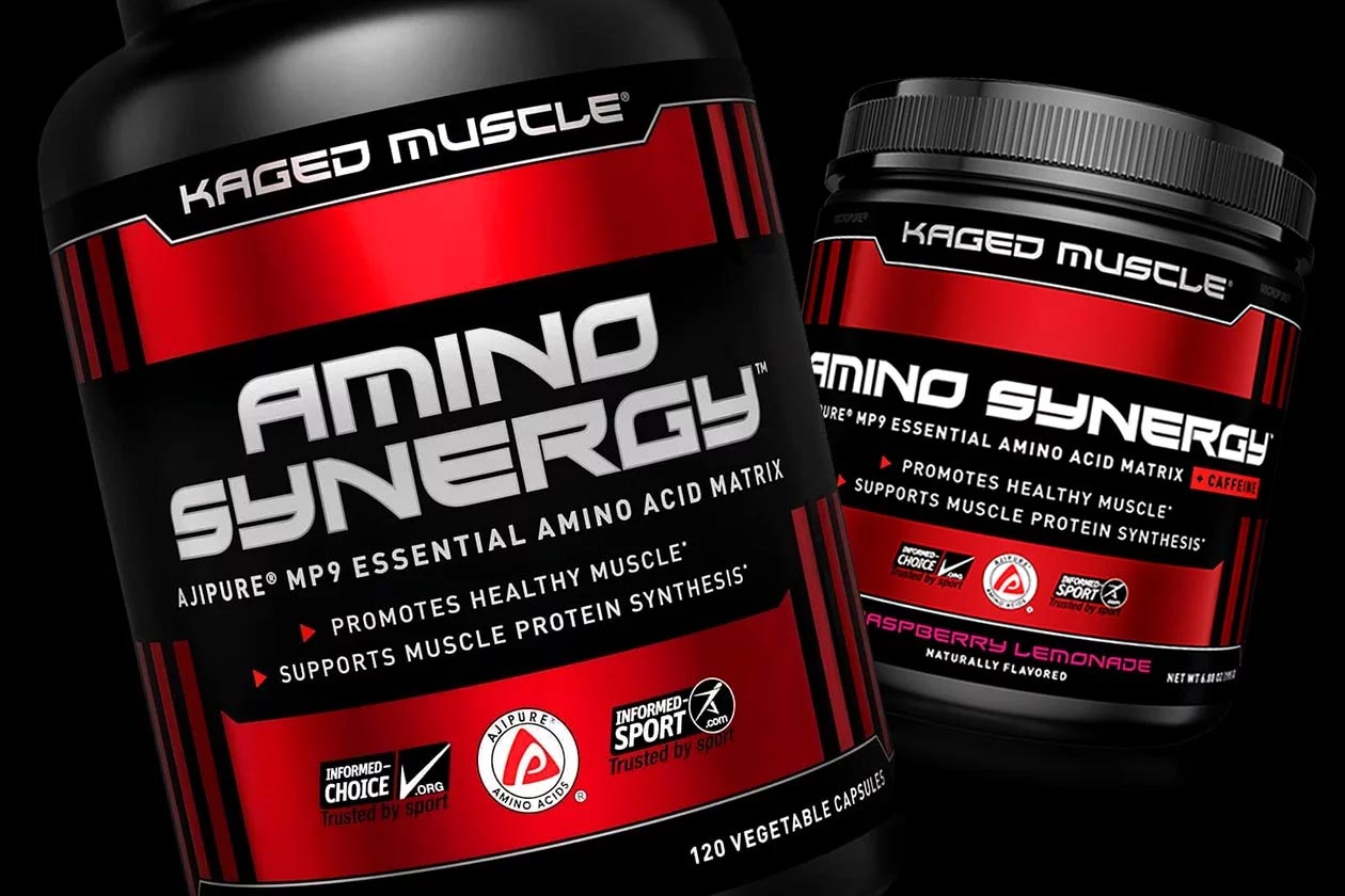 amino synergy