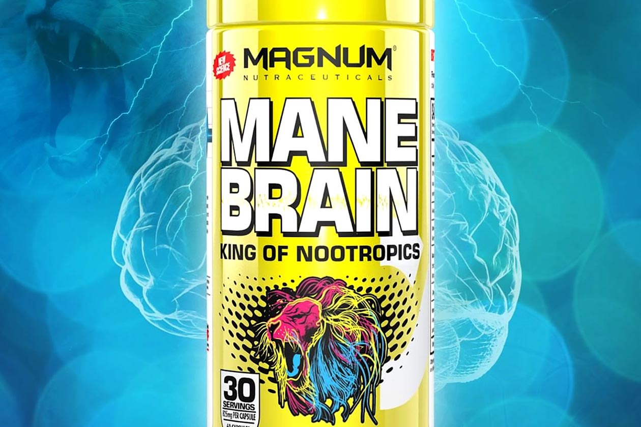 magnum mane brain