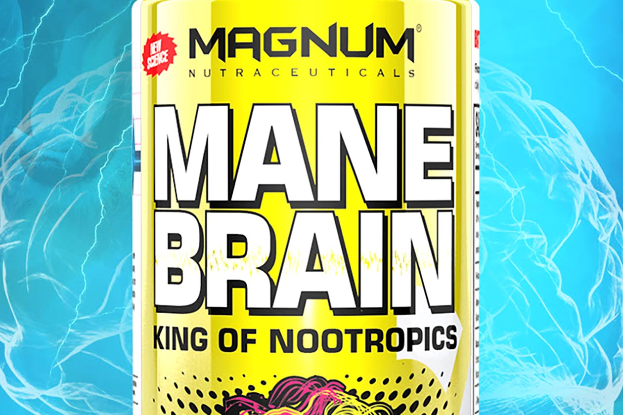 mane brain