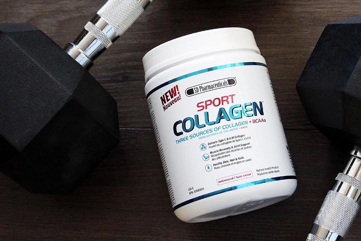 sd pharmaceuticals sport collagen