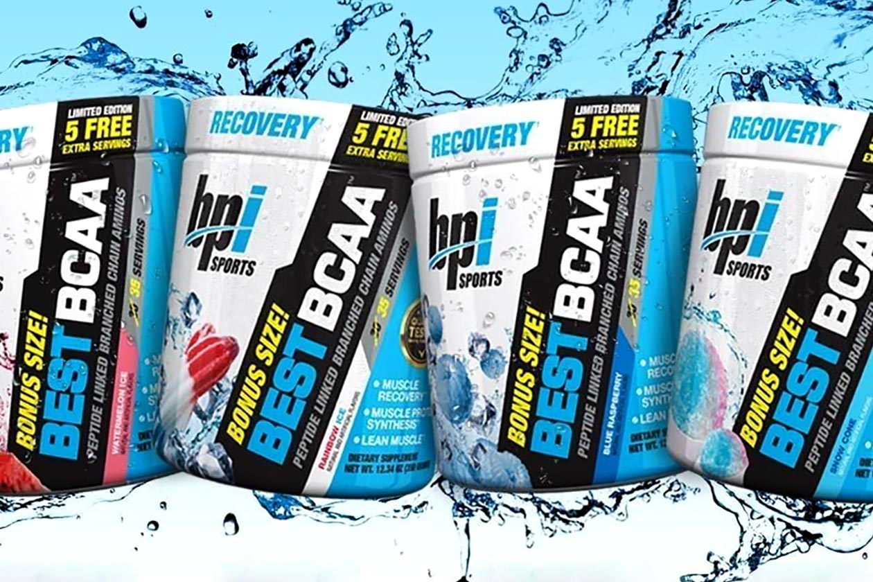 bonus size best bcaa