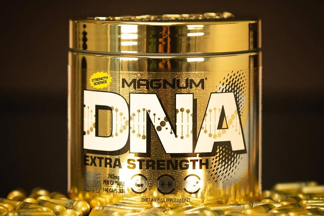 magnum dna