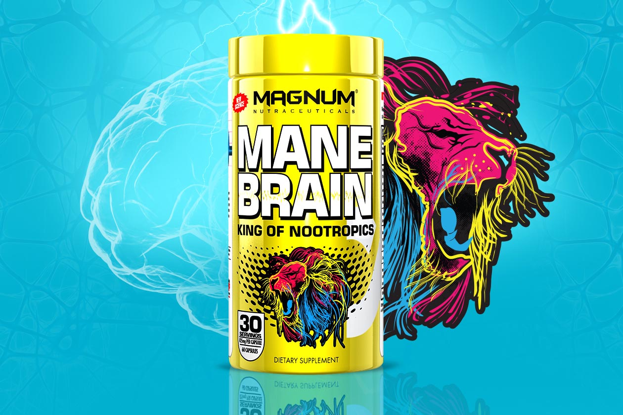 mane brain